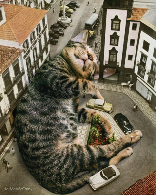 Illustration de l'article : 20 photomontages où des chats colossaux dominent le monde