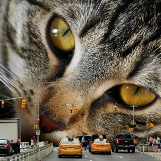 Illustration de l'article : 20 photomontages où des chats colossaux dominent le monde