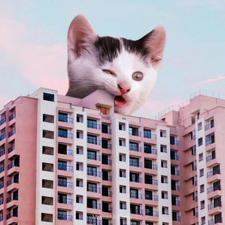 Illustration de l'article : 20 photomontages où des chats colossaux dominent le monde