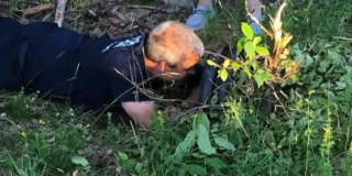 Illustration de l'article : Une chienne âgée de 16 ans, aveugle et sourde est coincée sous un pont et sa famille n’arrive pas à lui venir en aide 