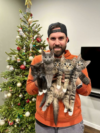 Illustration de l'article : 20 chiens et chats qui expriment pleinement leur joie après avoir été adoptés