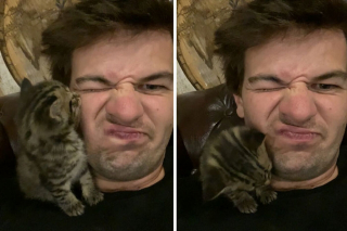 Illustration de l'article : 20 chiens et chats qui expriment pleinement leur joie après avoir été adoptés