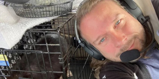 Illustration de l'article : Ils retrouvent leur chien 10 après mais à des milliers de kilomètres, un pilote bénévole entre en scène