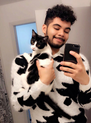 Illustration de l'article : 12 photos montrant la ressemblance frappante entre les chats et leurs humains