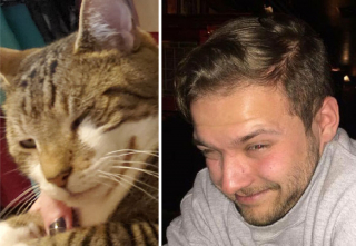 Illustration de l'article : 12 photos montrant la ressemblance frappante entre les chats et leurs humains