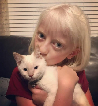 Illustration de l'article : 12 photos montrant la ressemblance frappante entre les chats et leurs humains