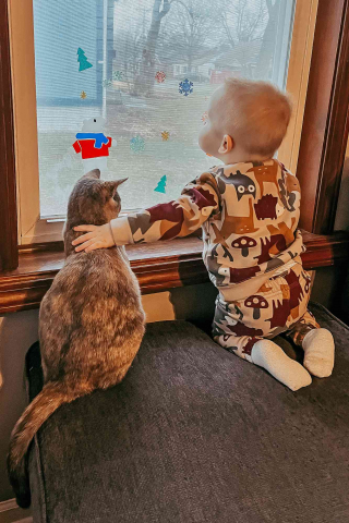 Illustration de l'article : Bingo, la chatte qui a aidé un petit garçon à combattre sa leucémie
