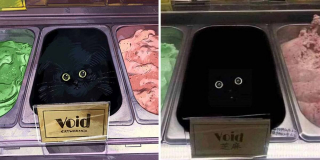 Illustration de l'article : 20 portraits de chats transformés en illustrations pleines d'humour et de créativité