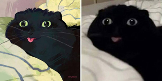 Illustration de l'article : 20 portraits de chats transformés en illustrations pleines d'humour et de créativité