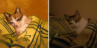 Illustration de l'article : 20 portraits de chats transformés en illustrations pleines d'humour et de créativité