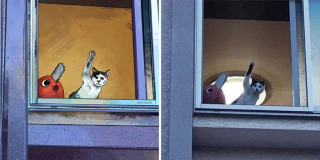 Illustration de l'article : 20 portraits de chats transformés en illustrations pleines d'humour et de créativité