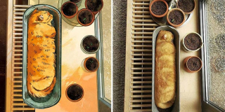 Illustration de l'article : 20 portraits de chats transformés en illustrations pleines d'humour et de créativité