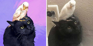 Illustration de l'article : 20 portraits de chats transformés en illustrations pleines d'humour et de créativité