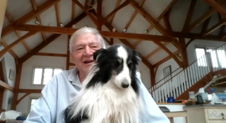 Illustration de l'article : Après une fugue de plusieurs semaines dans les montagnes, un chien est retrouvé épuisé par un randonneur