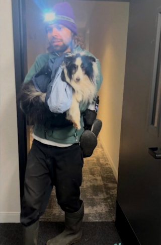 Illustration de l'article : Après une fugue de plusieurs semaines dans les montagnes, un chien est retrouvé épuisé par un randonneur