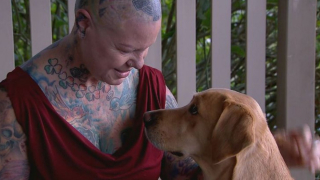 Illustration de l'article : Accompagn&eacute;e de son chien-guide, une femme malvoyante s&rsquo;est vu interdire l&rsquo;acc&egrave;s &agrave; une chambre d&rsquo;h&ocirc;tel