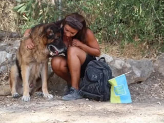 Illustration de l'article : Une bienfaitrice embellit le triste quotidien d&rsquo;un chien &acirc;g&eacute; en l&rsquo;emmenant passer une journ&eacute;e magique &agrave; la plage (vid&eacute;o)