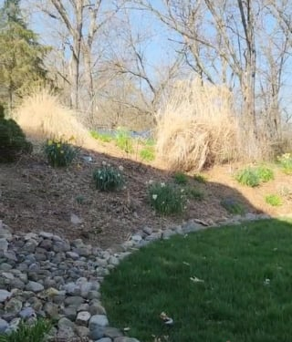 Illustration de l'article : Handicapée par une maladie héréditaire, cette petite chatte réalise un exploit pour s’offrir une sieste au soleil (vidéo)