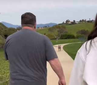 Illustration de l'article : Elle organise des retrouvailles surprises entre son père et la chienne de celui-ci dont il a dû se séparer contre sa volonté (vidéo)