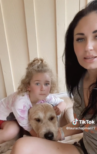 Illustration de l'article : Caché dans les herbes sur le bord d’une autoroute, un chien en piteux état attend d’être secouru (vidéo)