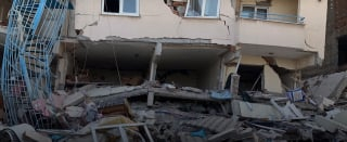 Illustration de l'article : Rescapé d’un séisme en Turquie, ce chat chanceux débute une nouvelle vie à des milliers de kilomètres de là (vidéo)