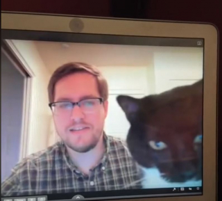 Illustration de l'article : En quête d’attention, ces 2 félins facétieux font des caméos surprises lors des cours à distance de leur maître (vidéo)