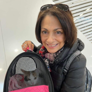 Illustration de l'article : Malgré le parvovirus et une patte cassée, cette petite chatte a puisé des forces insoupçonnées en elle pour refaire surface (vidéo)