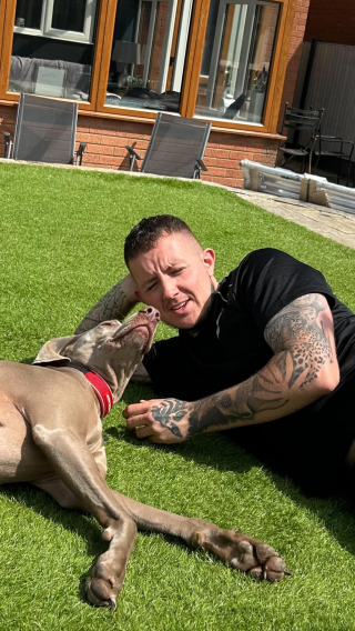 Illustration de l'article : Un homme pr&ecirc;t &agrave; d&eacute;penser des fortunes et &laquo; vendre sa maison &raquo; pour sauver sa chienne malade