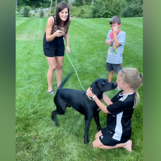 Illustration de l'article : Ils rêvaient d’adopter un chien : la vidéo émouvante d’une rencontre entre une famille et son animal de compagnie