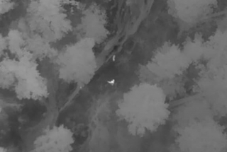 Illustration de l'article : Un Berger Australien perdu en montagne reçoit l’aide providentielle d’un groupe de bénévoles et d'un drone