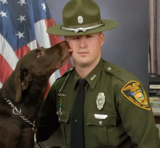 Illustration de l'article : 20 photos de chiens qui tirent la langue, mais pas pour vous narguer