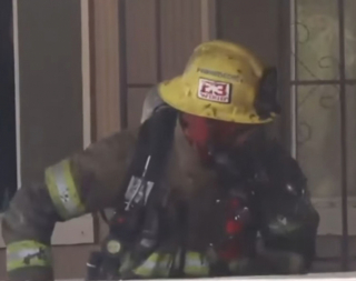 Illustration de l'article : "Tu es mon héros" : l'hommage d'un homme au courageux pompier s'étant mis en danger pour secourir son chat