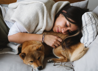 Illustration de l'article : Les avantages du contact avec les chiens pour la santé mentale sont prouvés par la science