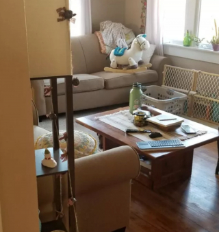 Illustration de l'article : 20 photos de chiens plus ou moins bien cachés et qui vous mettent au défi de les repérer