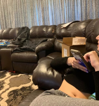 Illustration de l'article : 20 photos de chiens plus ou moins bien cachés et qui vous mettent au défi de les repérer