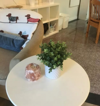 Illustration de l'article : 20 photos de chiens plus ou moins bien cachés et qui vous mettent au défi de les repérer