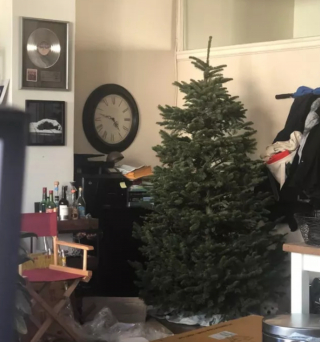 Illustration de l'article : 20 photos de chiens plus ou moins bien cachés et qui vous mettent au défi de les repérer