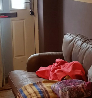 Illustration de l'article : 20 photos de chiens plus ou moins bien cachés et qui vous mettent au défi de les repérer