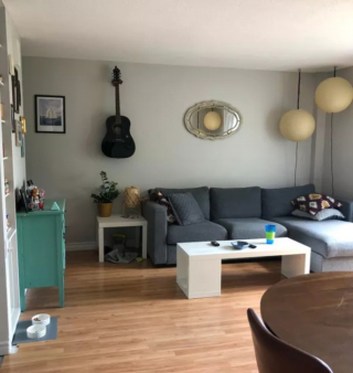 Illustration de l'article : 20 photos de chiens plus ou moins bien cachés et qui vous mettent au défi de les repérer