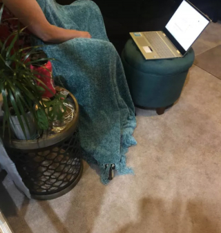 Illustration de l'article : 20 photos de chiens plus ou moins bien cachés et qui vous mettent au défi de les repérer