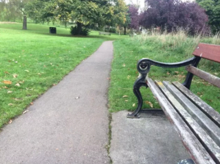 Illustration de l'article : 20 photos de chiens plus ou moins bien cachés et qui vous mettent au défi de les repérer