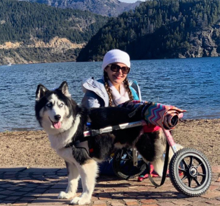 Illustration de l'article : 11 photos racontant l'histoire de Maya, chienne handicapée et traumatisée ayant retrouvé l'espoir