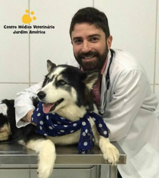 Illustration de l'article : 11 photos racontant l'histoire de Maya, chienne handicapée et traumatisée ayant retrouvé l'espoir