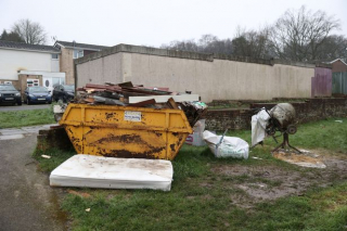 Illustration de l'article : Une maman chat et ses 7 chatons abandonnés dans une benne à ordure cherchent des familles aimantes