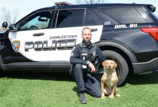 Illustration de l'article : L'acte de bravoure d'un policier pour sauver Sammy, un vieux chien pris au piège dans les eaux d'un lac