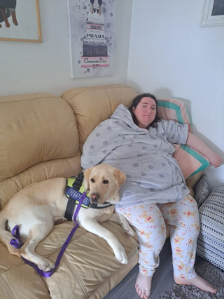 Illustration de l'article : Cette femme n’osait pas sortir de chez elle depuis 15 ans, jusqu’à ce qu’un chien d’assistance lui change la vie
