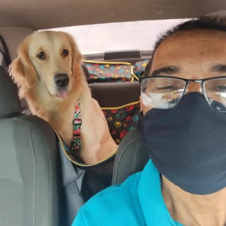 Illustration de l'article : 20 photos faisant découvrir la joyeuse clientèle d'un taxi pour animaux de compagnie