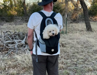 Illustration de l'article : 19 chiens nichés dans le sac à dos de leur humain et prêts à partir en vadrouille
