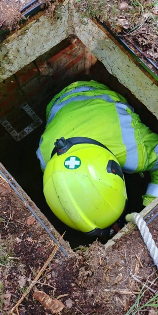 Illustration de l'article : Un chien tombe dans un égout et cela lui change la vie