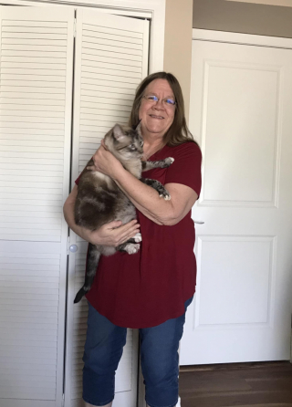 Illustration de l'article : 2 ans après avoir perdu son chat, une femme reçoit l’appel qu’elle avait tant attendu